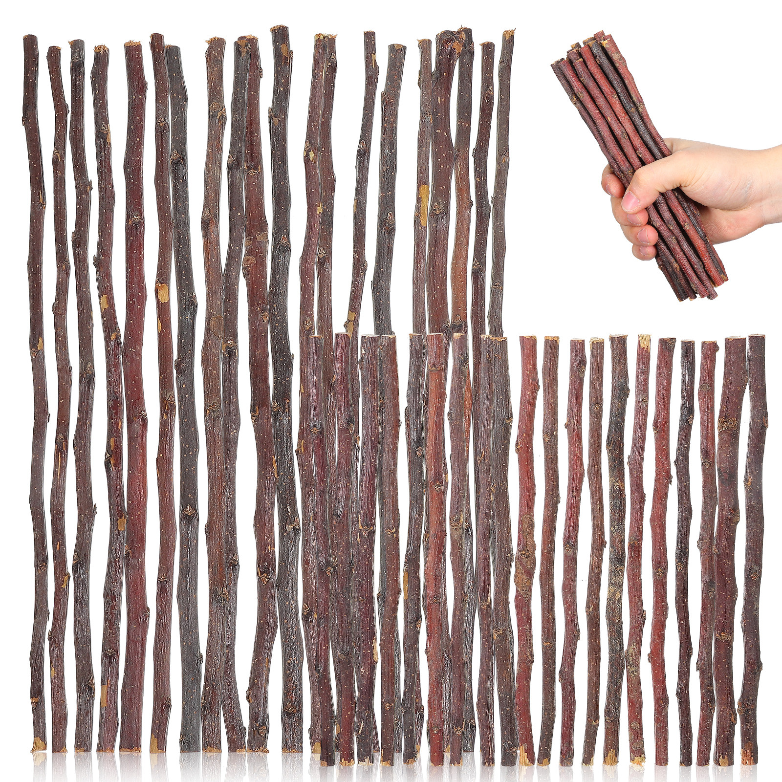40Pcs DIY Wooden Sticks Natura - Embellishment Crafts のレビューと価格