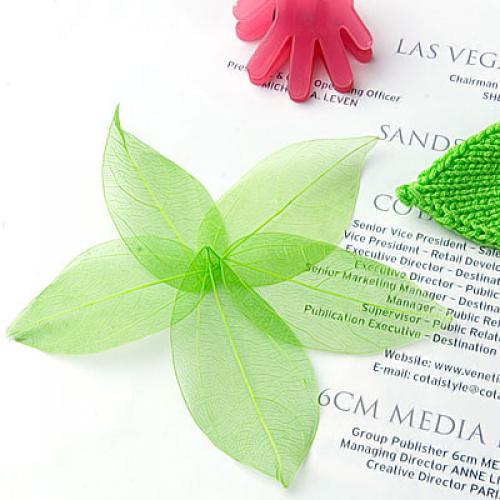 Natural Catbrier Skeleton Leav - Embellishments For Scrapbooking のレビューと価格
