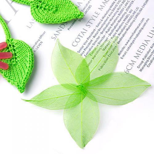 Natural Catbrier Skeleton Leav - Embellishments For Scrapbooking のレビューと価格