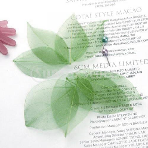 Natural Catbrier Skeleton Leav - Embellishments For Scrapbooking のレビューと価格