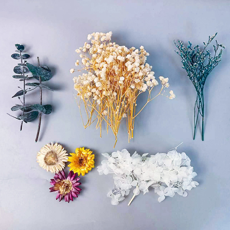 1pack Multifarious Dried Flowe - Embellishment Crafts のレビューと価格