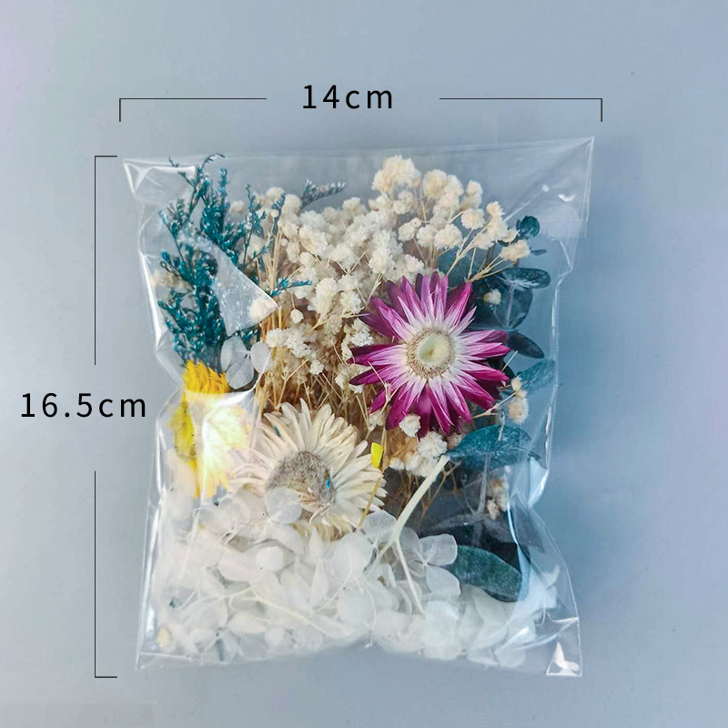 1pack Multifarious Dried Flowe - Embellishment Crafts のレビューと価格
