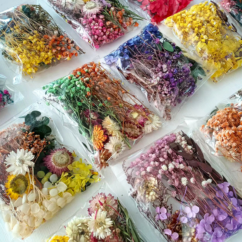 1pack Multifarious Dried Flowe - Embellishment Crafts のレビューと価格