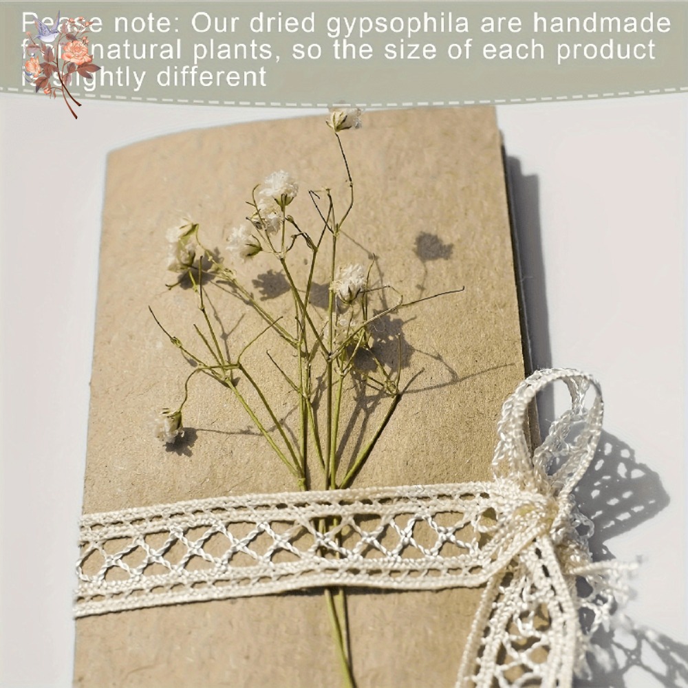 100pcs Mini Dried Baby's Breat - Embellishment Crafts のレビューと価格